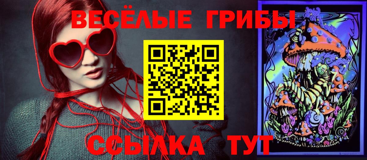Псилоцибиновые грибы GOLDEN TEACHER Краснодар