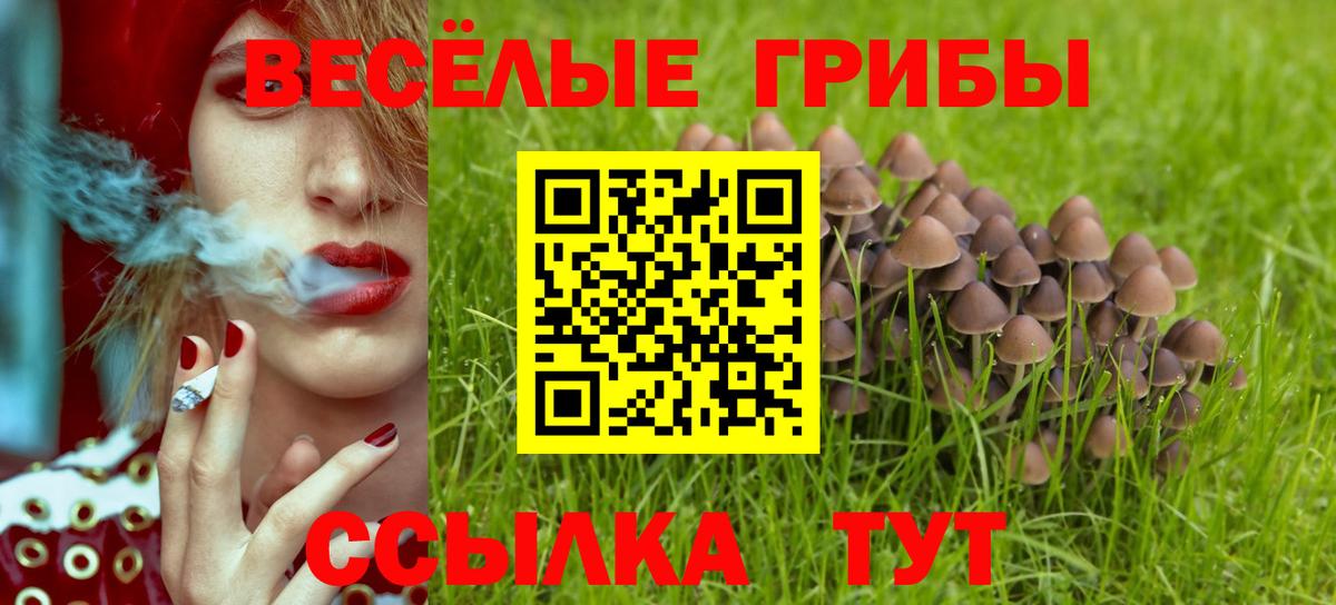 Псилоцибиновые грибы Psilocybe  Псилоцибиновые грибы прущие грибы  Краснодар  Вход с VPN 